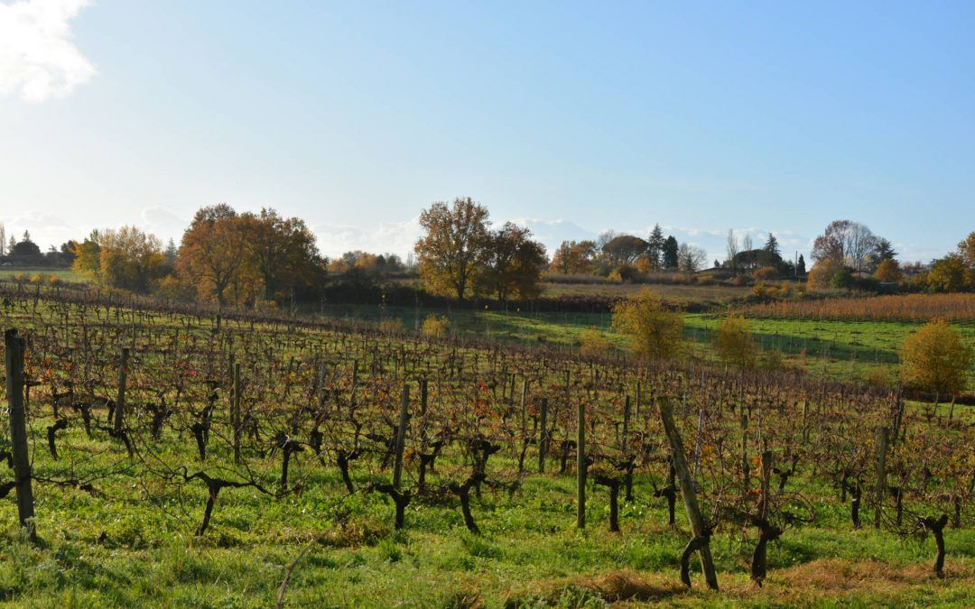 Environnement et cadre de vie