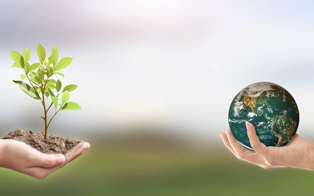 Commission Environnement et cadre de vie