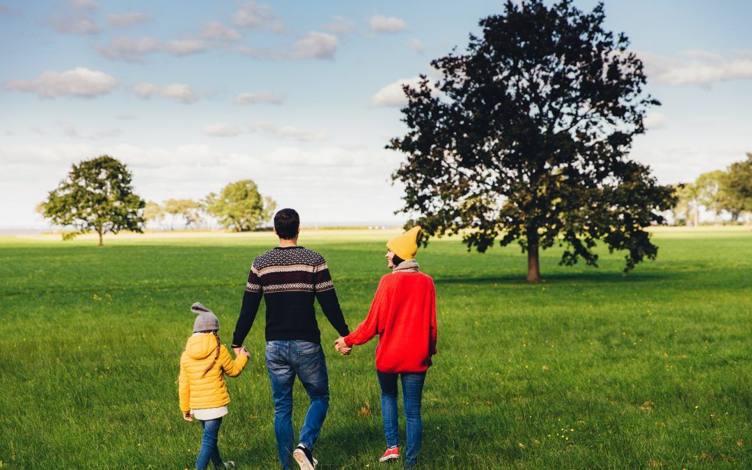 Politique environnementale