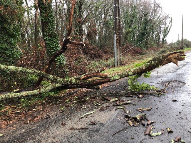 Chute d’arbre sur une ligne télécom à l’entrée du lot. La Garenne