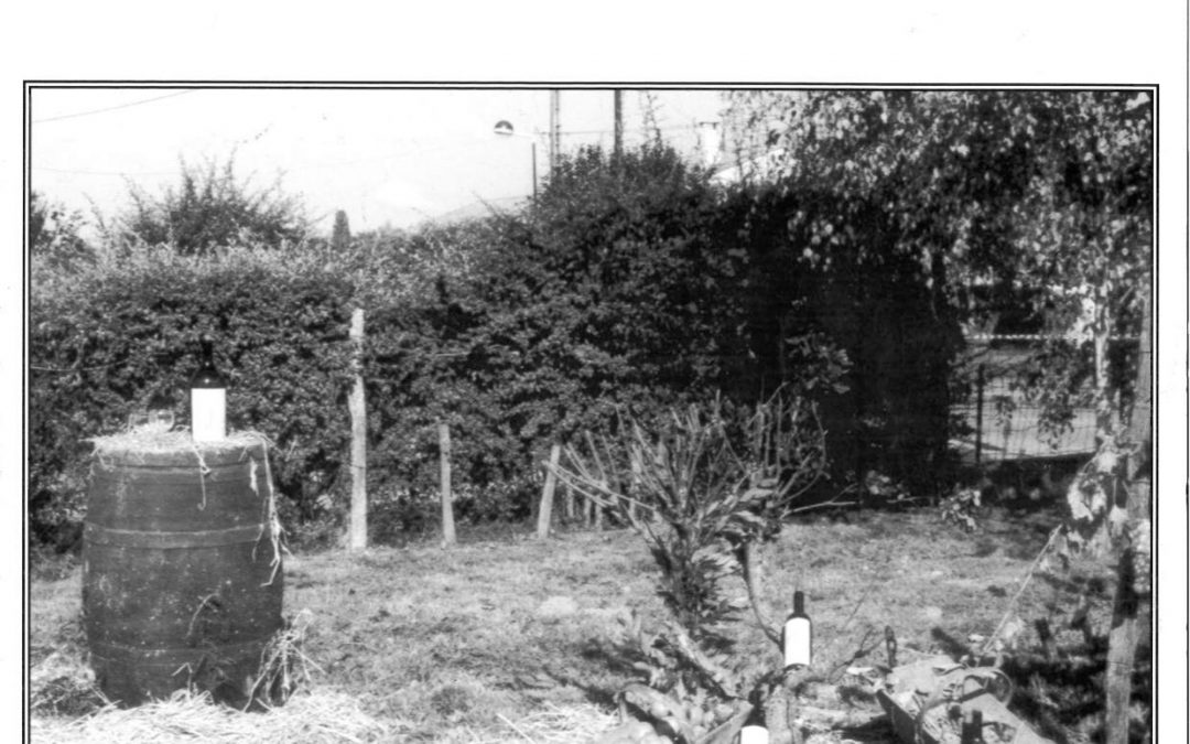 Bulletin communal d&rsquo;informations – octobre 1995