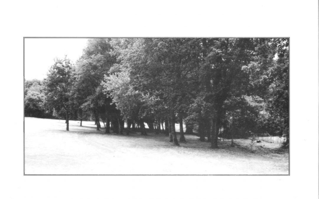 Bulletin communal d&rsquo;informations – juillet 1997