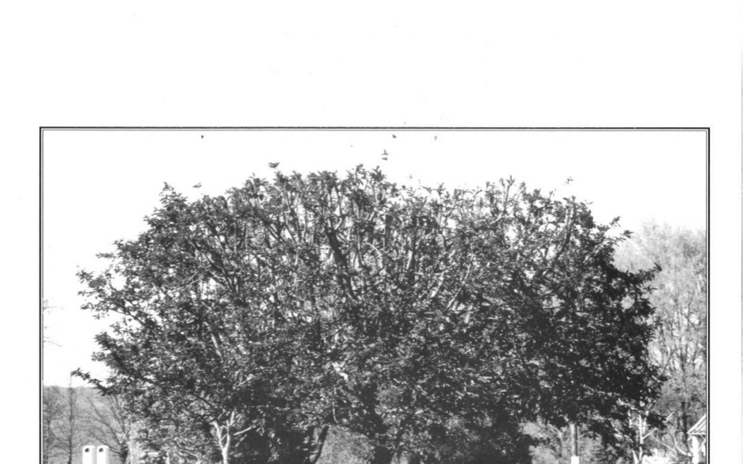 Bulletin communal d&rsquo;informations – avril 1999