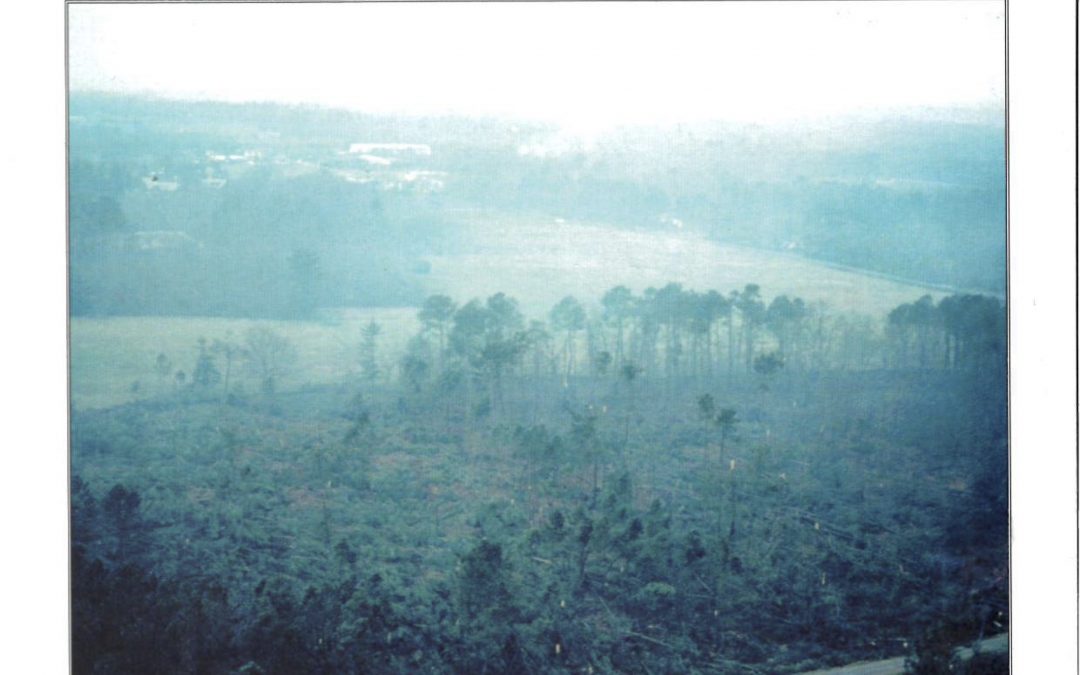 Bulletin communal d&rsquo;informations – janvier 2000