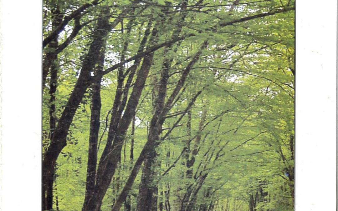 Bulletin communal d&rsquo;informations – mars 2001