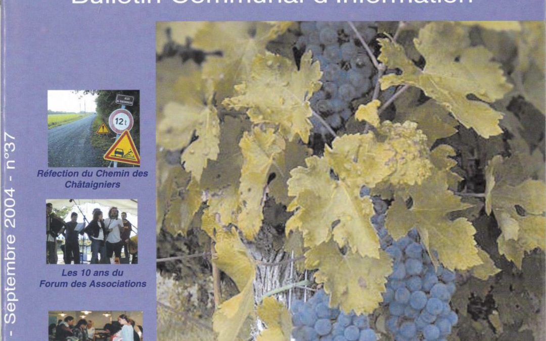 Bulletin communal d’informations – juillet 2004
