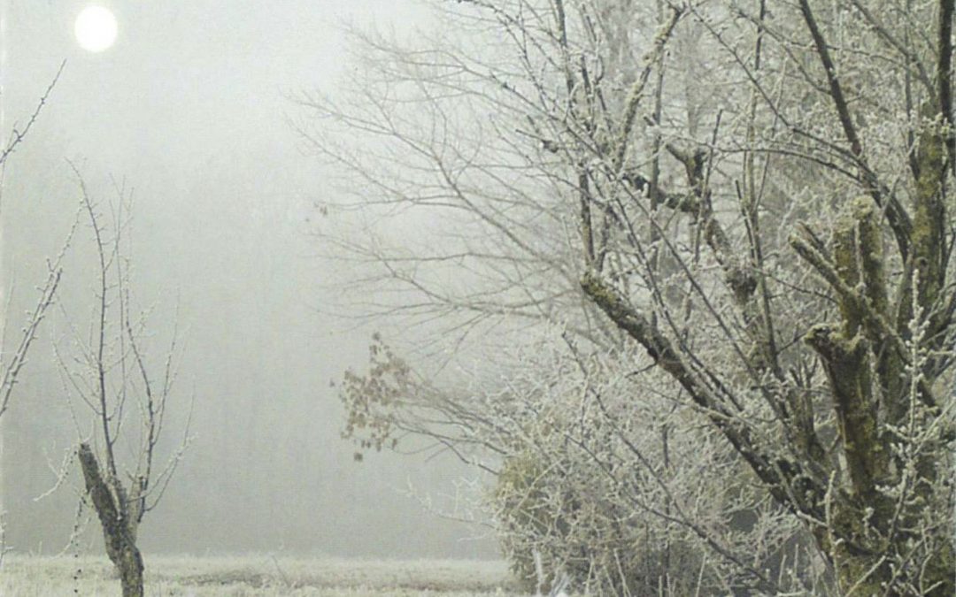 Bulletin communal d’informations – octobre 2005