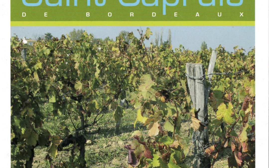 Bulletin communal d’informations – juillet 2007