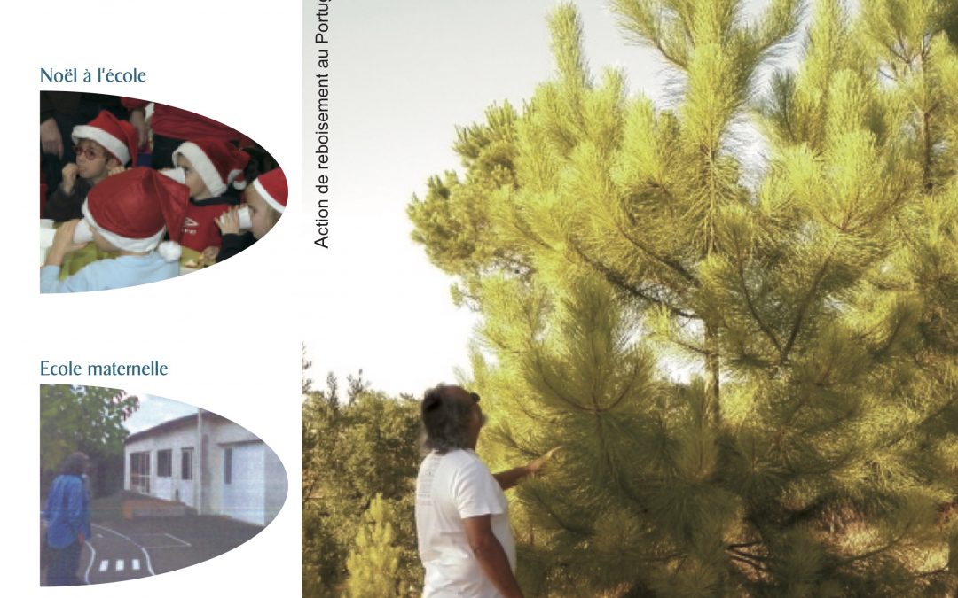 Bulletin communal d’informations – janvier 2013