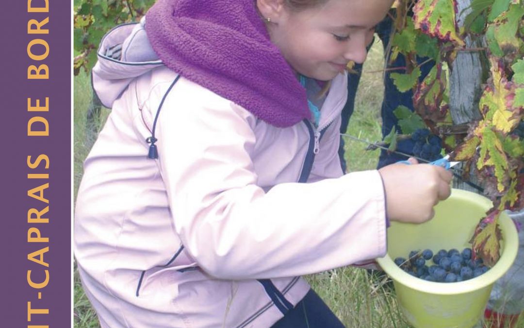 Bulletin communal d’informations – novembre 2014